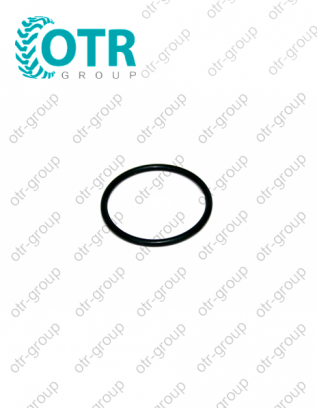 Уплотнительное кольцо насоса ТННД 320/07051